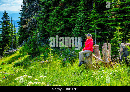 Senior donna godendo della vista sulla Shuswap Highlands centrali di British Columbia su un escursione verso la cima della montagna di Tod nel Canada occidentale Foto Stock