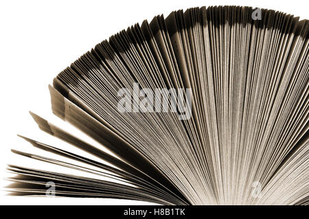 Vecchio grande libro su sfondo bianco Foto Stock