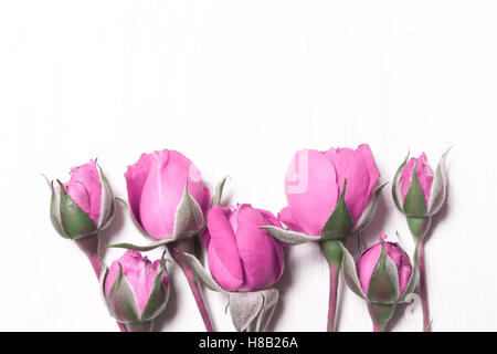 Le rose rosa su un bianco sullo sfondo di legno. La composizione di fiori. Vista da sopra. Foto Stock