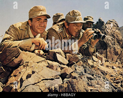 Im Morgengrauen brach die Hoelle los, (RAID on ROMMEL) USA 1971, Regie: Henry Hathaway, JOHN COLICOS, Richard Burton, Spaehtrupp, Militaer, uniforme, Fernglas, Foto Stock