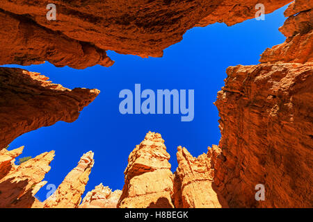 Questa guarda dritto fino alle pareti del 'Wall Street' della Navajo Loop Trail nel Parco Nazionale di Bryce Canyon, Utah, Stati Uniti d'America. Foto Stock