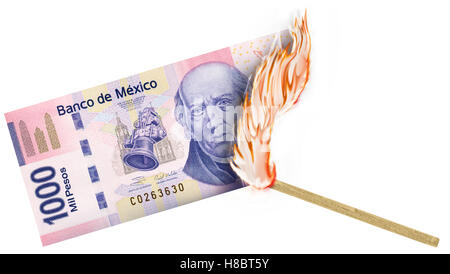 Una banconota essendo bruciato da un confronto con la masterizzazione in una grande fiamma. Foto Stock