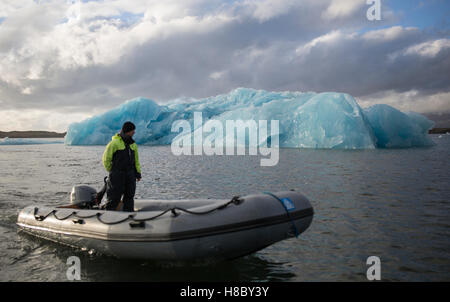 Un uomo aziona una barca Zodiac passato ghiacciai blu flottante in una laguna glaciale, a Jökulsárlón, nel sud-est dell'Islanda Foto Stock