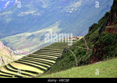 Pisac Perù terrazze nella valle sacra vicino a Cuzco Foto Stock