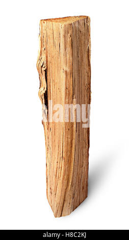 Singolo log di legna da ardere in verticale isolato su sfondo bianco Foto Stock