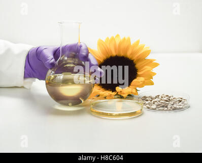 Analisi dell'olio di semi di girasole in laboratorio Foto Stock