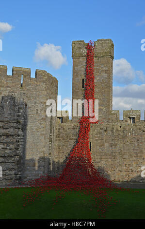 La finestra di pianto a Caernarfon Castle per ricordare i 100 anni della prima guerra mondiale. Foto Stock