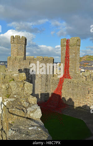 La finestra di pianto a Caernarfon Castle per ricordare i 100 anni della prima guerra mondiale. Foto Stock