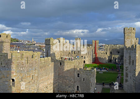 La finestra di pianto a Caernarfon Castle per ricordare i 100 anni della prima guerra mondiale. Foto Stock