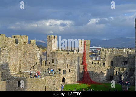 La finestra di pianto a Caernarfon Castle per ricordare i 100 anni della prima guerra mondiale. Foto Stock