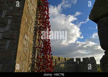 La finestra di pianto a Caernarfon Castle per ricordare i 100 anni della prima guerra mondiale. Foto Stock