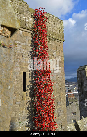 La finestra di pianto a Caernarfon Castle per ricordare i 100 anni della prima guerra mondiale. Foto Stock