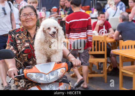 Tailandese di equitazione donna con cane su uno scooter al mercato notturno di Hua Hin, Thailandia Foto Stock