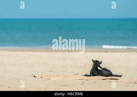 La vita in spiaggia a sud di Hua Hin Tailandia Foto Stock