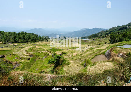 Paesaggio di Batutumonga, Sulawesi meridionale Foto Stock