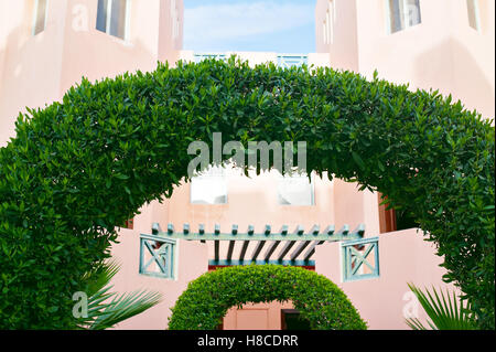 Verde arco decorativo di piante Foto Stock