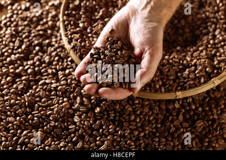 Chicchi di caffè tostati , la messa a fuoco su un centro Foto Stock