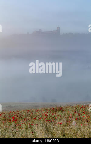 Una nebbiosa e la nebbia di mattina ladden a Vezelay nel Yonne area di Borgogna. Foto Stock