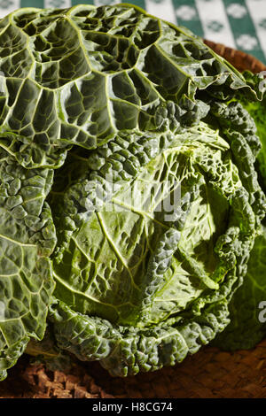 Tutto capi di cavolo verza Foto Stock