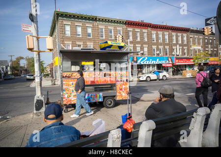 Un cibo halal carrello nella città quartiere di linea sul confine Brooklyn-Queens in New York il Mercoledì, 2 novembre 2016. Il piccolo quartiere è diventato un enclave di immigrati del Bangladesh. (© Richard B. Levine) Foto Stock