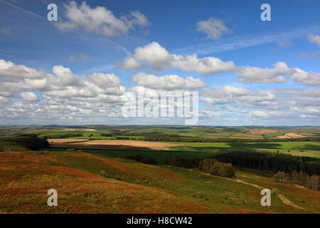 Il rotolamento vista del paesaggio a nord-ovest di Cima di Hardy's monumento sulla collina di Blackdown con distante Devon skyline e buona cloudscape Foto Stock