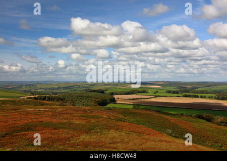 Paesaggio di rotolamento ovest vista dall'alto di Hardy's monumento sulla collina di Blackdown con distante Devon skyline e buona cloudscape Foto Stock
