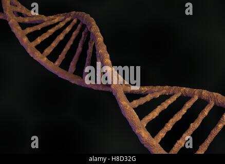 Molecola di DNA di struttura. 3d illustrazione Foto Stock