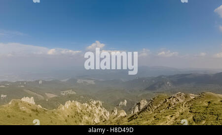 Volare sul gregge di pecore in montagna Foto Stock