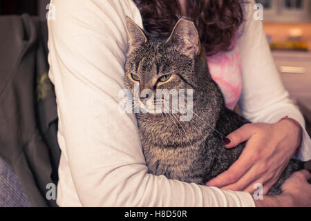 Gatto seduto su una donna di giri, cat guardando la telecamera, donna in maglia bianca a forma di cuore su di esso delle coccole un gatto Foto Stock