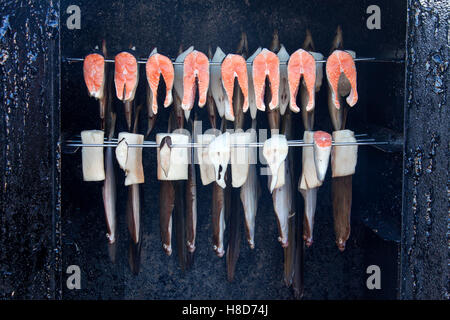 La Passera di mare (Pleuronectes platessa) e altri seafish essere fumato in pesci fumatore Foto Stock