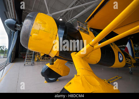 Una navigabilità 1942 Westland Lysander Mk. IIIA in appendiabiti del Canadian Warplane Heritage Museum Hamilton Ontario Canada Foto Stock