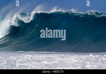 Oceano gigante onda sulla North Shore di Oahu, Hale'IWA Hawaii Foto Stock
