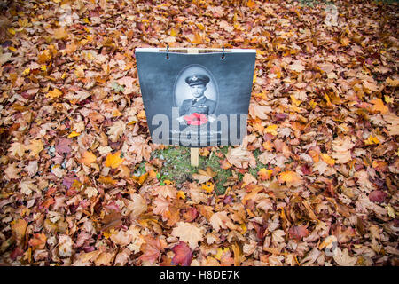 Montreal, Canada, 10 novembre 2016. Il quartiere di West Montreal in Canada ha ricordato quelli caduti nel corso della Seconda Guerra Mondiale ponendo i ritratti di ex soldati vicino le case hanno usato per vivere. Credito: Cristian Mijea/Alamy Live News Foto Stock