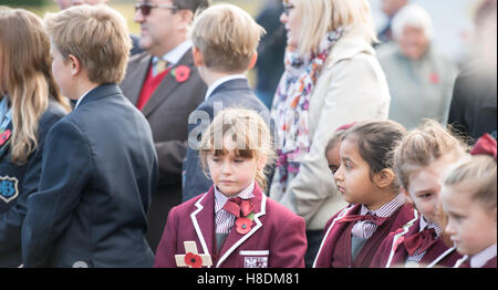 Brentwood, Essex, 11 novembre 2016, la scuola dei bambini , il giorno dell'Armistizio in Brentwood, Essex Credit: Ian Davidson/Alamy Live News Foto Stock