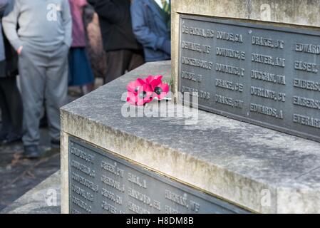 Brentwood, Essex, 11 novembre 2016, papaveri sul il giorno dell'Armistizio in Brentwood, Essex Credit: Ian Davidson/Alamy Live News Foto Stock