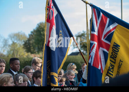 Brentwood, Essex, 11 novembre 2016, British Legion standard, , s, il giorno dell'Armistizio in Brentwood, Essex Credit: Ian Davidson/Alamy Live News Foto Stock