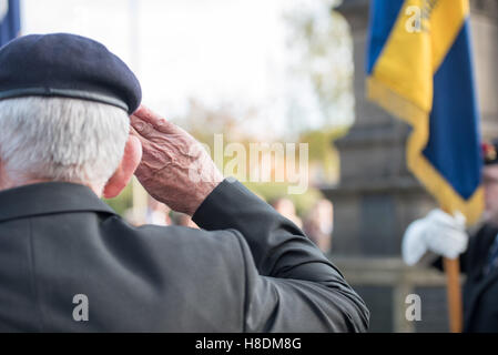 Brentwood, Essex, 11 novembre 2016, British Legion officer saluta,, il giorno dell'Armistizio in Brentwood, Essex Credit: Ian Davidson/Alamy Live News Foto Stock