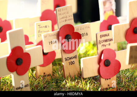 Peterborough, Regno Unito. Xi Nov, 2016. Il giorno dell'armistizio. Persone segnando il giorno dell'Armistizio in Peterborough, Regno Unito. Una croce di legno in ricordo di un soldato che cadde durante la Somme. A due minuti di silenzio è detenuto in tutto il paese sulla undicesima ora dell'undicesimo giorno nell'undicesimo mese, che segna la fine della Prima Guerra Mondiale. Credito: Paolo Marriott/Alamy Live News Foto Stock