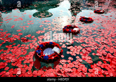 Londra, Regno Unito. 11 Novembre, 2016. Papaveri prevista per commemorare il giorno dell'Armistizio - corone di fiori galleggianti in fontane, Trafalgar Square Credit: PjrNews/Alamy Live News Foto Stock