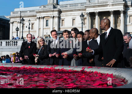 Londra, Regno Unito. 11 novembre 2016. Il Royal British Legion ospita il giorno dell'Armistizio commemorazioni con 'Silence in piazza' dell'evento a Londra in Trafalgar Square. Ogni anno il 11 novembre alle 11.00 i due minuti di silenzio è stato osservato per rendere omaggio ai soldati britannici che sono caduti nelle guerre mondiali e sono stati feriti o morti in conflitti a partire dal 1945. Il giorno dell'Armistizio segna la fine della Prima Guerra Mondiale e si riferisce a un cessate il fuoco tra la Germania e gli alleati che è entrato in vigore a 11am su 11 Novembre 1918. Nella foto: celebrità buttare il papavero nella fontana. Wiktor Szymanowicz/Alamy Live News Foto Stock