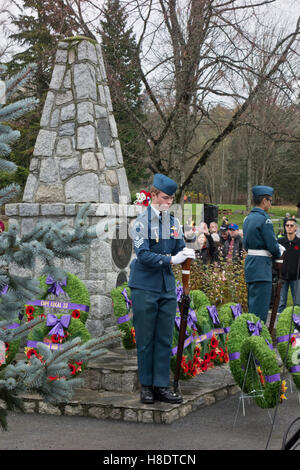 Burnaby, BC, Canada. 11 Novembre, 2016. Membri del 759 Falcon Royal Canadian aria squadrone cadetti di riposare in luogo veglia come sentinelle in corrispondenza degli angoli del cenotafio come parte del 2016 Giorno del Ricordo cerimonia. La cerimonia alla Confederazione Park in Burnaby, British Columbia è stato ben frequentato. Credito: Maria Janicki/Alamy Live News. Foto Stock