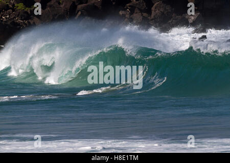 Grandi onde, Waimea Bay, Hale'IWA Oahu Hawaii Foto Stock