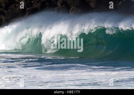 Grandi onde, Waimea Bay, Hale'IWA Oahu Hawaii Foto Stock