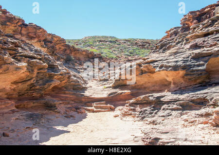 Percorso attraverso la pietra arenaria rossa gorge con piante autoctone a Pot Alley sulla Coral Coast in Kalbarri, Western Australia. Foto Stock