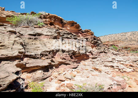 Robusto costiere di arenaria rossa con piante autoctone presso la pentola Alley gorge sulla Coral Coast in Kalbarri, Western Australia. Foto Stock