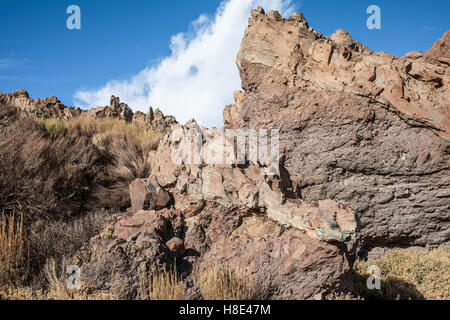 Los Roques de Garcia (Tenerife - Spagna) Foto Stock