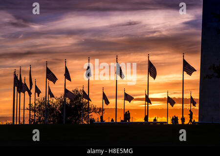 Sagoma delle bandiere americane al monumento a Washington con tramonto, Washington DC USA Foto Stock