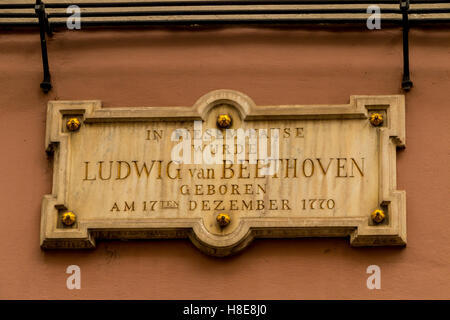 Placca a muro per commemorare il luogo di nascita di Ludwig van Beethoven, Bonn, Germania Foto Stock