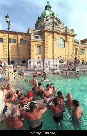 Ungarn Budapest, Badende und Schachspieler im Thermalbad Széchenyi, die Baeder werden mit Wasser geothermischen betrieben. Ungheria / Budapest, giocatore di scacchi nel Bagno Termale Széchenyi, che è riscaldata mediante acqua geotermica Foto Stock