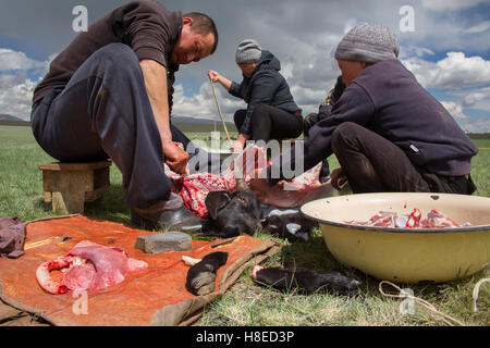 Kyrgyzstan - famiglia di nomadi il taglio di una capra durante il Ramadan per mangiare durante la notte quando il digiuno per tutto il giorno - lago Song Kol Foto Stock